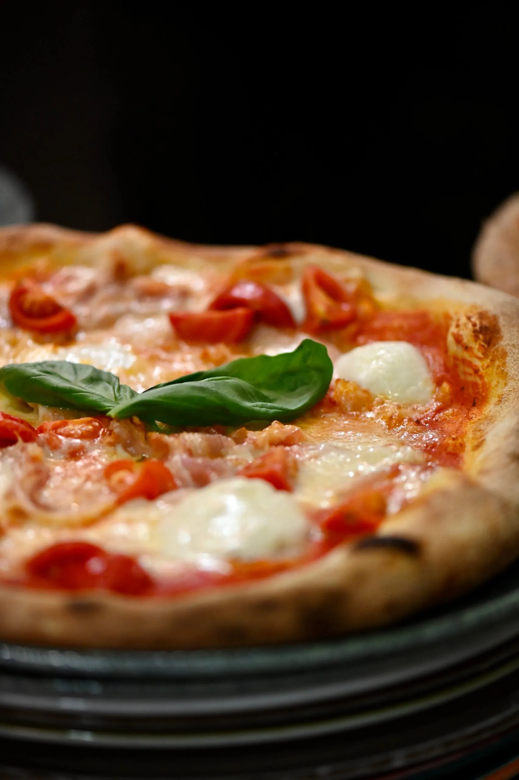 Galleria immagine 14